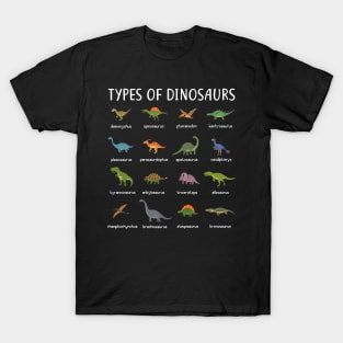 Kids Types Of Dinosaurs T Shirt Dino Identification Tee T-Shirt